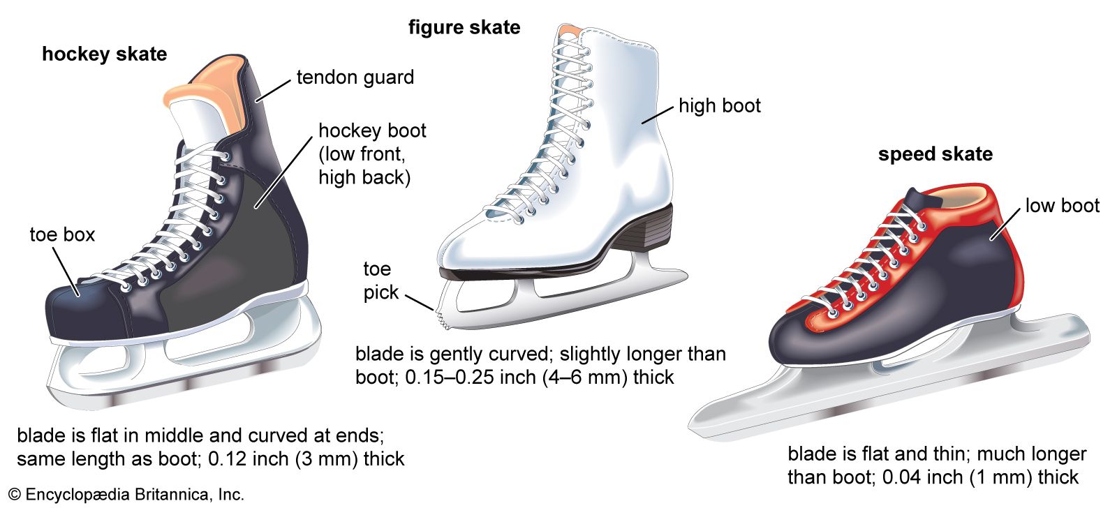 What is the Difference between Figure Skates And Hockey Skates: Ultimate Guide