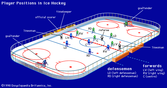How Many Players are There in a Hockey Team: Essential Guide
