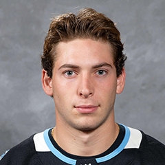 Will Gavin Hockey: Rising Star in the Ice Arena