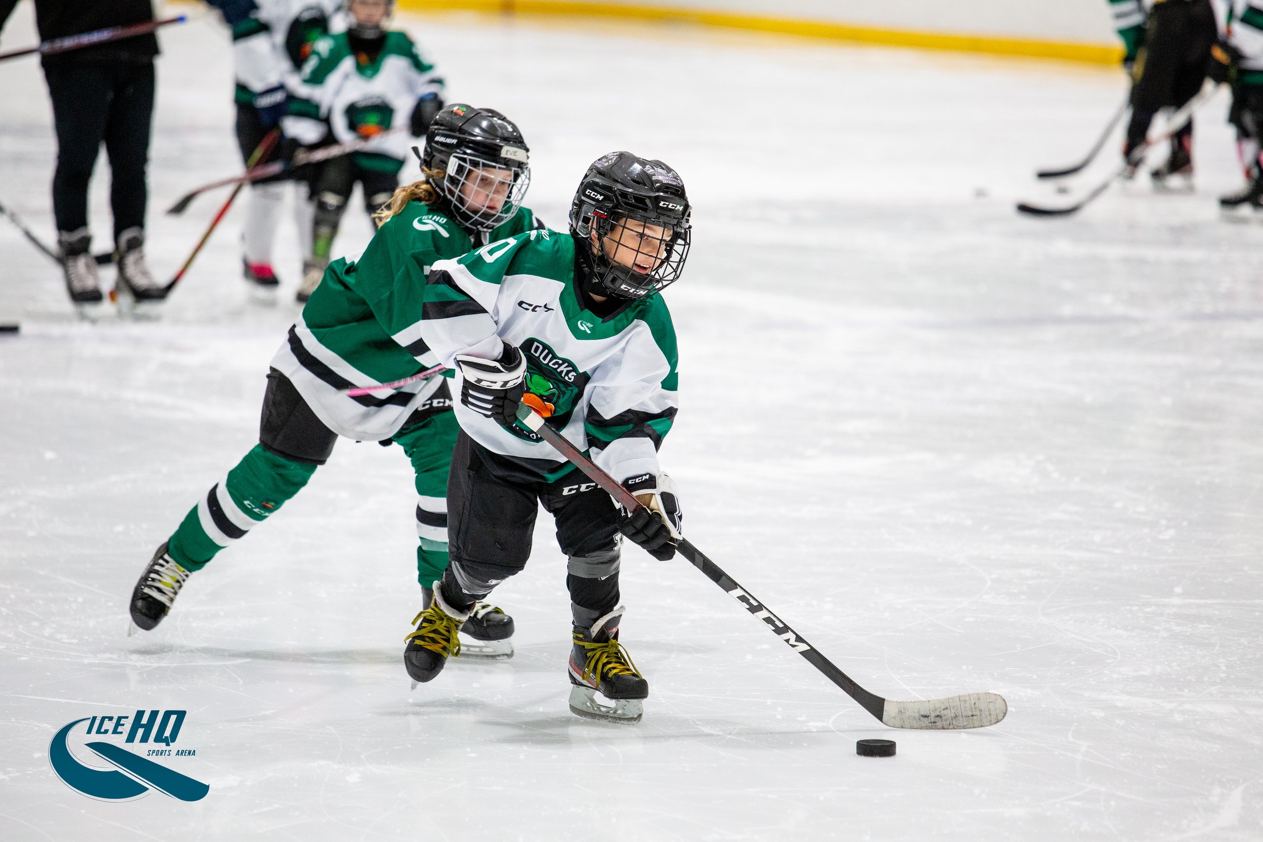 Junior Ice Hockey
