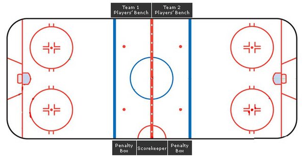 How Many Players are There in a Hockey Team: Essential Guide