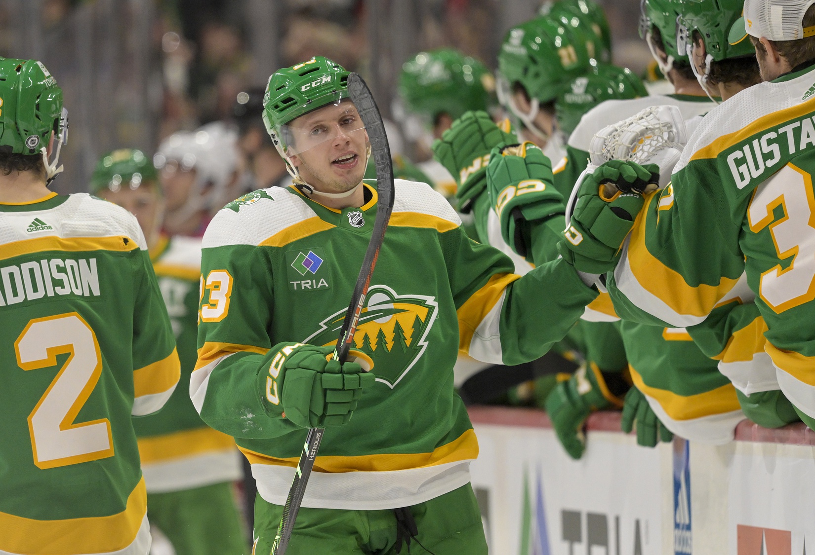 Wild Hockey