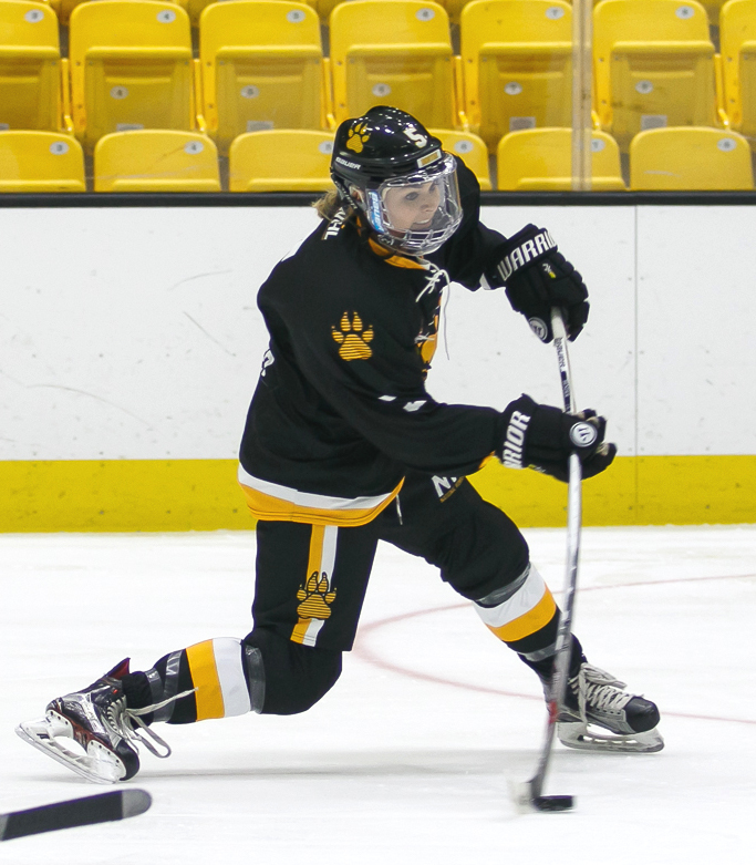 What is a Bender in Hockey: Understanding the Term and Its Origins