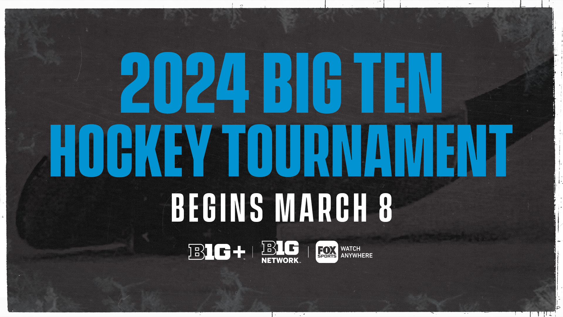 Big 10 Hockey Playoffs