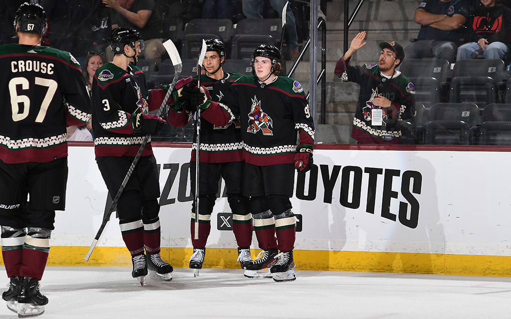 Arizona Coyotes