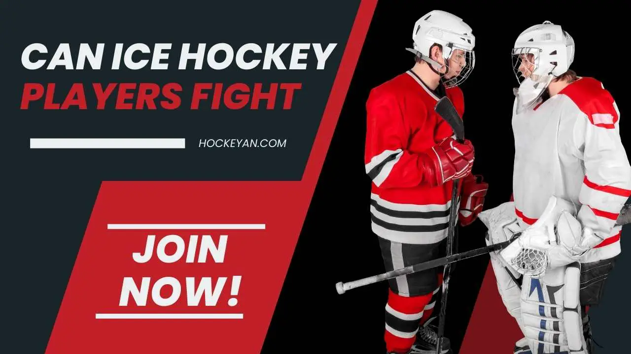 Can Ice Hockey Players Fight : Tradition, Tactics, and Trajectory