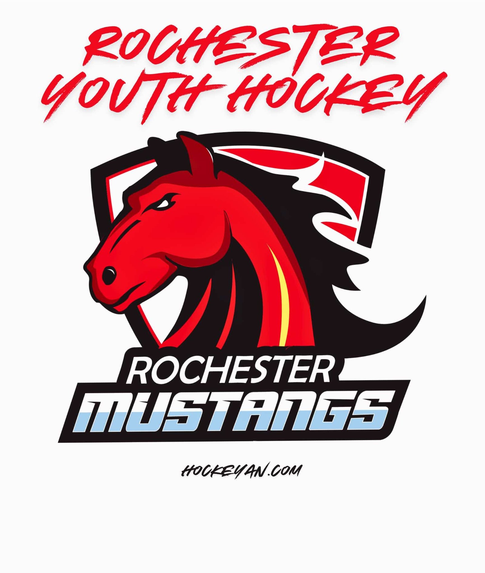 Rochester Youth Hocke