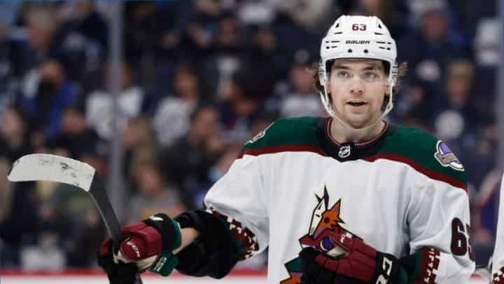 Arizona Coyotes