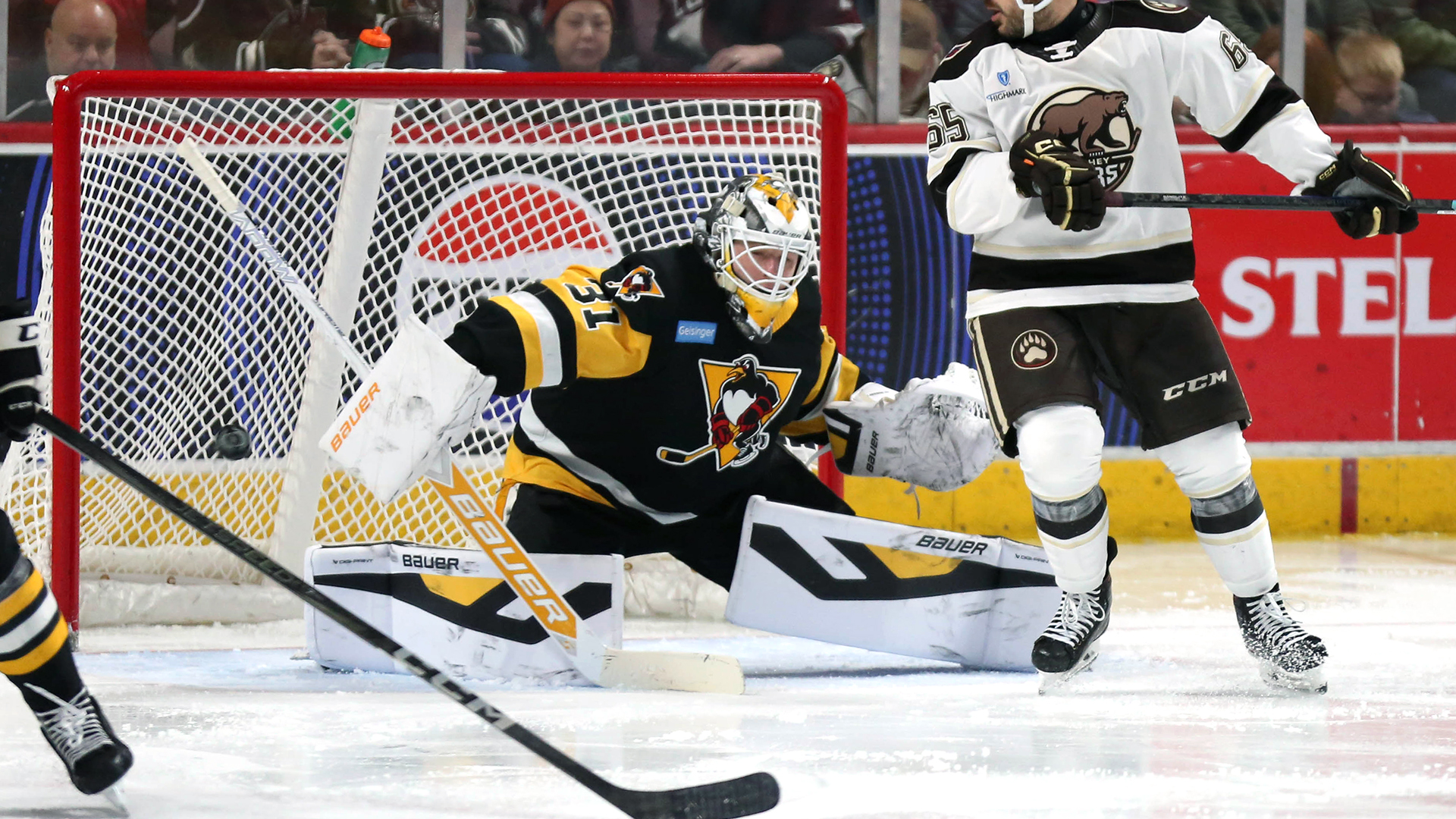 Penguins Hockey