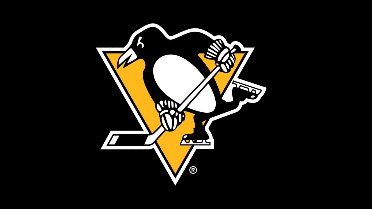 Penguins Hockey